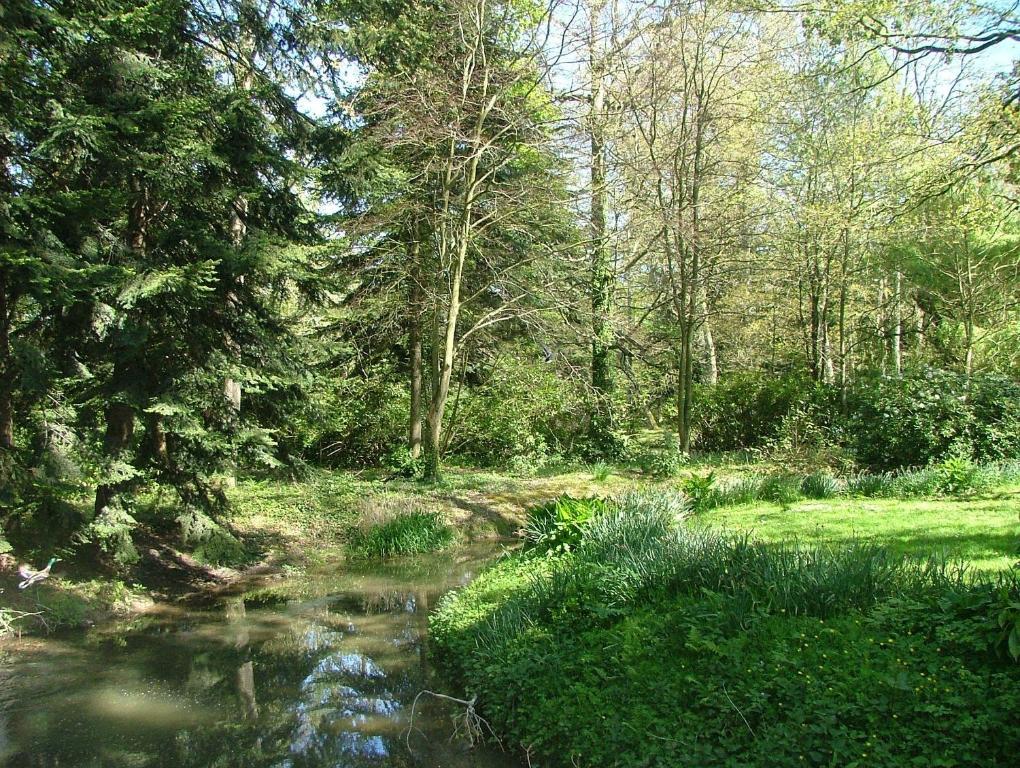 Gîtes de Launay Guibert Miniac-Morvan Habitación foto